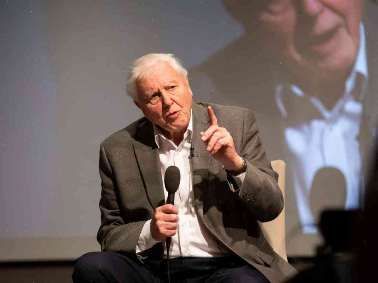 David Attenborough's meaning of life: 'I'm not afraid of dying'